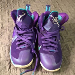 Lebron 9 (hornets)